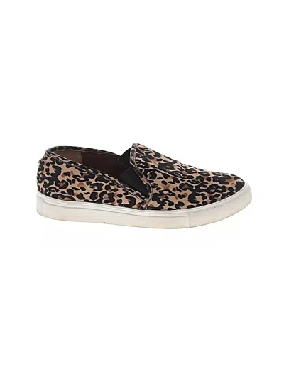 Pre-owned Steve Madden Sneakers In Brown