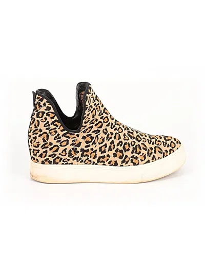 Pre-owned Steve Madden Sneakers In Brown