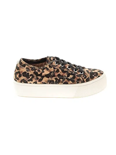 Pre-owned Steve Madden Sneakers In Brown