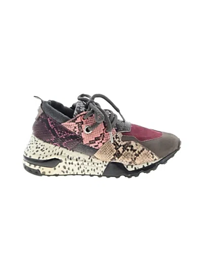 Pre-owned Steve Madden Sneakers In Burgundy