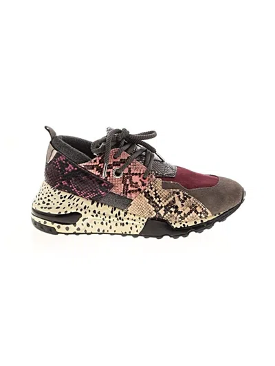 Pre-owned Steve Madden Sneakers In Burgundy