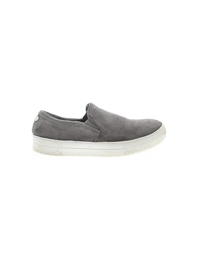 Pre-owned Steve Madden Sneakers In Gray