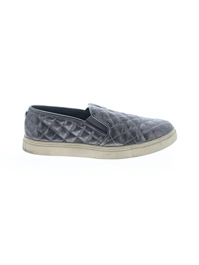 Pre-owned Steve Madden Sneakers In Gray