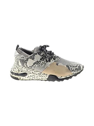 Pre-owned Steve Madden Sneakers In Gray