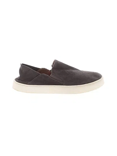 Pre-owned Steve Madden Sneakers In Gray