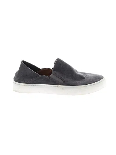 Pre-owned Steve Madden Sneakers In Gray