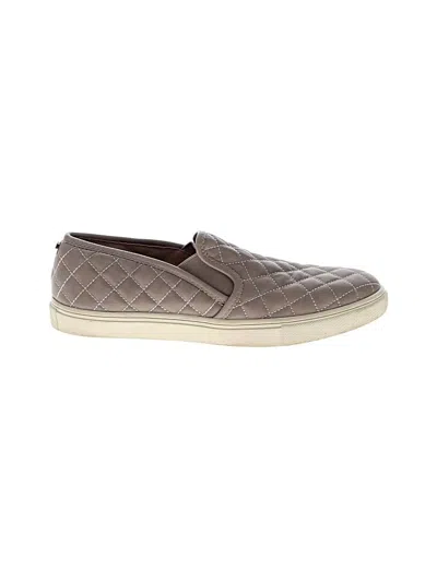 Pre-owned Steve Madden Sneakers In Gray