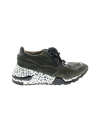 Pre-owned Steve Madden Sneakers In Green