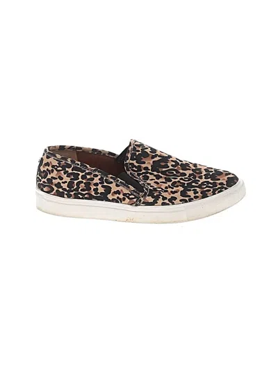 Pre-owned Steve Madden Sneakers In Tan