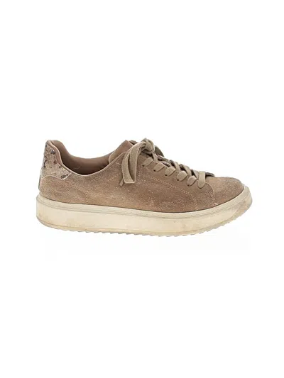Pre-owned Steve Madden Sneakers In Tan