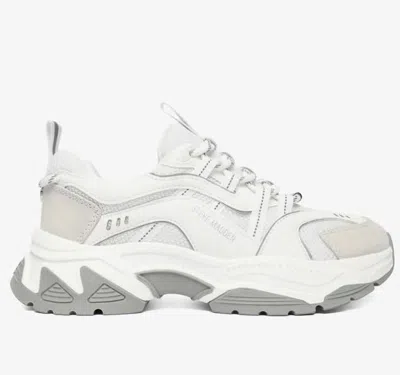 Steve Madden Sneakers In White