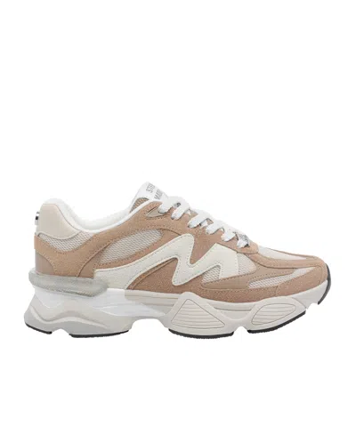 Steve Madden Speeder Chunky Sneakers In Brown
