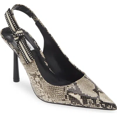 Steve Madden Stefani Slingback Pump In Snake Embossed