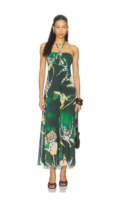 Steve Madden Strada Dress In Multi