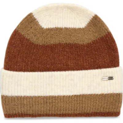 Steve Madden Striped Cuffed Beanie In Brown