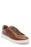 Steve Madden Strouz Low Top Sneaker In Brown