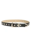 Steve Madden Studded Belt In Black