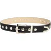 Steve Madden Studded Faux Suede Belt In Black