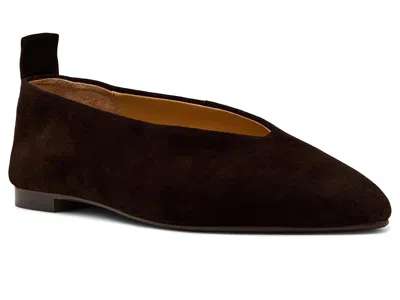 Steve Madden Swanky In Brown