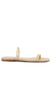 STEVE MADDEN TAHITI SANDAL