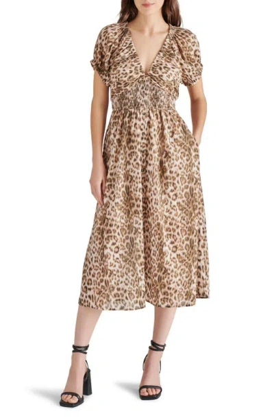 Steve Madden Tahlia Cotton Dress In Leopard