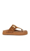 Steve Madden Thona Sandal