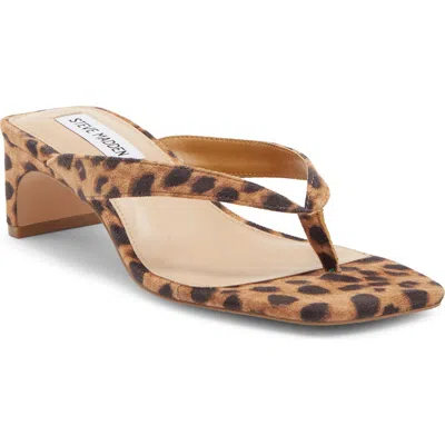 Steve Madden Tiffie Slide Sandal In Leopard