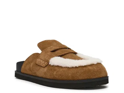 Steve Madden Tomlin Clog In Brown