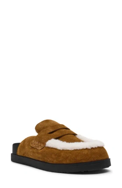 Steve Madden Tomlin Clog In Brown