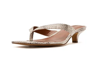 Steve Madden Tracie In Animal Print