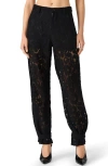 Steve Madden Tre Guipure Lace Pants In Black