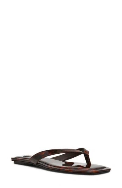 Steve Madden Trella Flip Flop In Brown