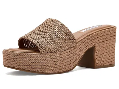 Steve Madden Trippy In Brown