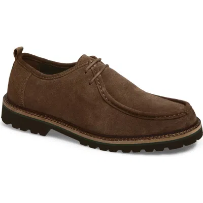 Steve Madden Tunis Derby In Brown