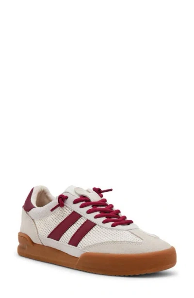 Steve Madden Verdict Mesh Sneaker In White