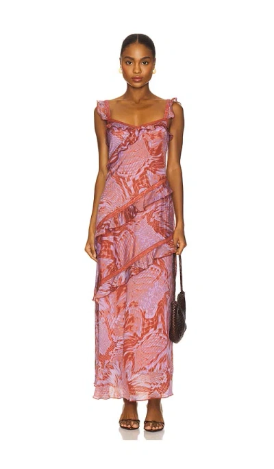 Steve Madden Versailles Dress In Brown