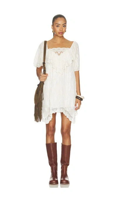 Steve Madden Vickie Dress In Cream