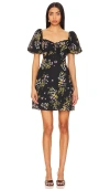 Steve Madden Violeta Floral Minidress In 黑色