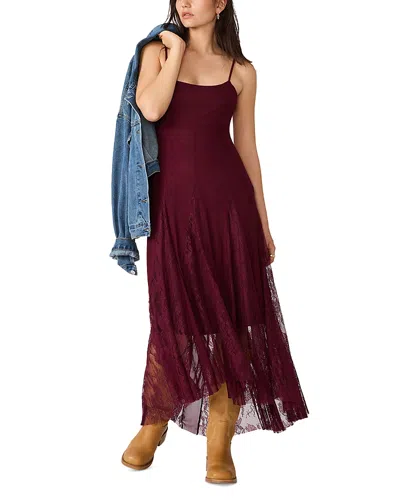 Steve Madden Vita Lace Detail Godet Pleat Dress In Burgundy