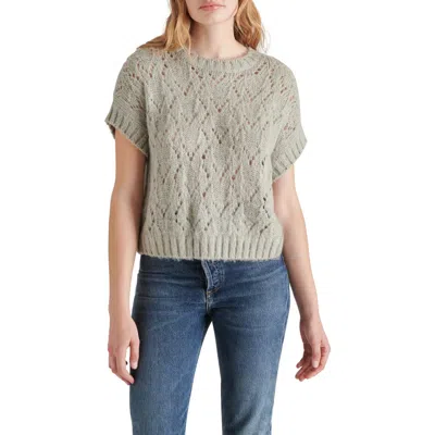 Steve Madden Wilson Pointelle Sweater In Light Grey