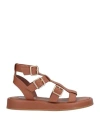 Steve Madden Woman Sandals Brown Size 8 Leather