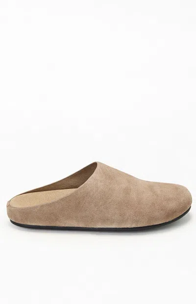 Steve Madden Women's Fern Mules In Taupe In Brown
