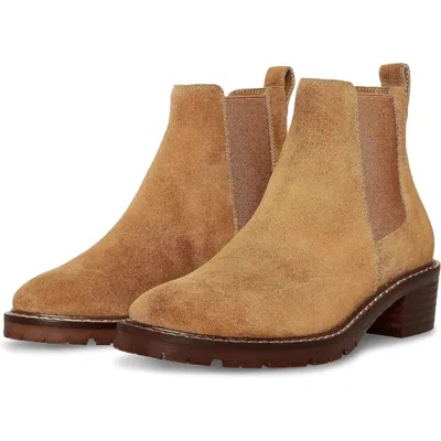 Steve Madden Women's  Dorothea Doth01s1 Boots Chestnut Suede Chelsea Htat402 In Brown