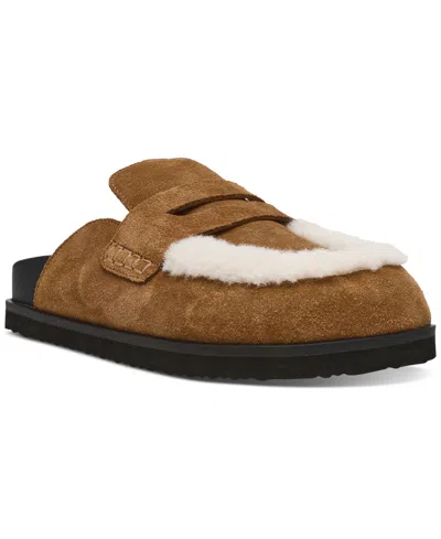 Steve Madden Women's Tomlin Cozy Clogs In Chestnut Suede