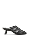 Steve Madden Xray Sandal In Black