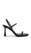 Steve Madden Zenn Sandal In Black