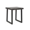 Steve Silver Jennings Live Edge End Table