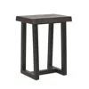 Steve Silver Jennings Live Edge Stool - Set Of 2