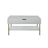 Steve Silver Whitman Lift Top Cocktail Table