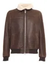 Stewart Giubbotto Garland Shearling In Brown